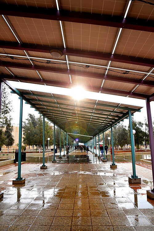 学生たちは太陽エネルギープレートの下で雨から身を守る