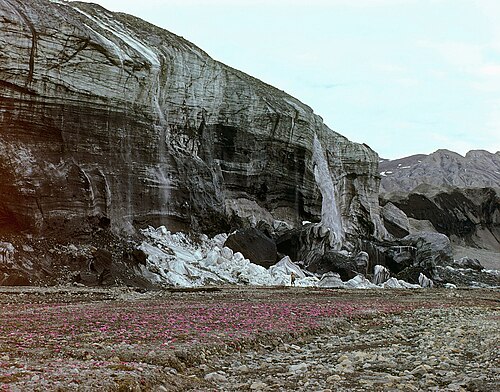 1975年6月23日、アクセル・ハイバーグ島、前進するホワイト氷河の先端。急峻な氷河の先端と滝は、冷たい氷河の氷によって形成されたもので、氷の崖には堆積物を伴う剪断モレーンが見られる。右側には、有名なトンプソン氷河とその押し出しモレーンの一部が写っている。前景には、ユキノシタ属の植物が生い茂っている。