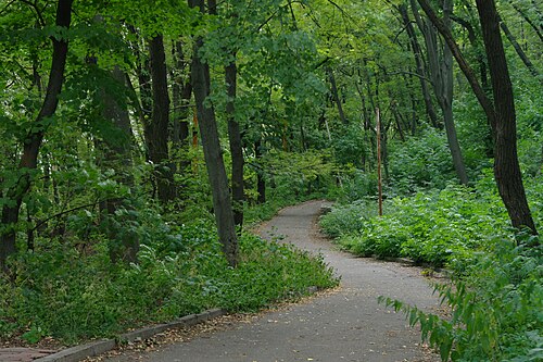 公園内の遊歩道の一つ