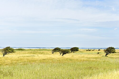 ゲルティンガービルクの風景