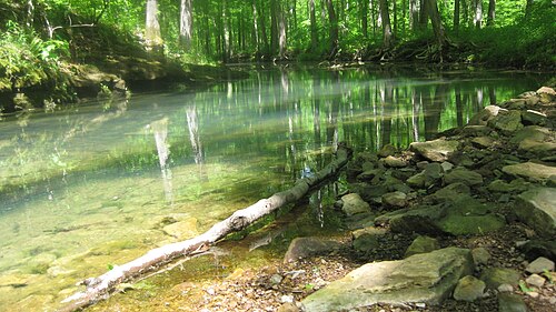 パンサーデン原生地域にあるデビルズキッチン湖からの流出水