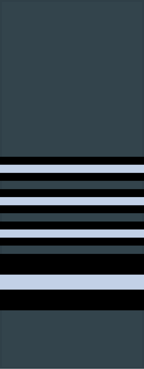 （バングラデシュ空軍）