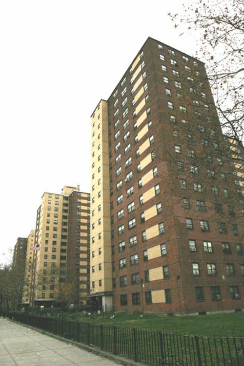 ブラウンズビルにある数多くの NYCHA 公営住宅開発の 1 つ、サミュエル J. ティルデン ハウス