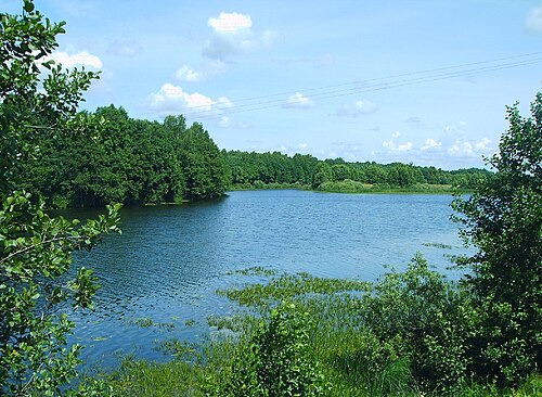 ロシアの保護地域であるシェルベイ湖は、テングシェフスキー地区にあります。