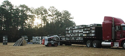 アメリカの移動養蜂業者が、ブルーベリーの受粉のために、春のミツバチの巣箱をサウスカロライナ州からメイン州へ多数移動させている。