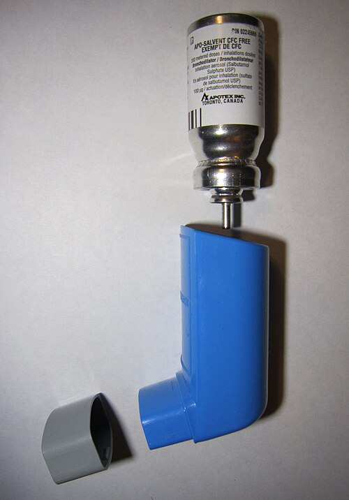 青いプラスチックのホルダーの上にある丸い容器