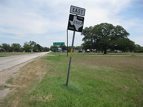 大きなオークの木を背景にした Farm to Market Road 2503 の標識の写真。写真は州道 71 号線との交差点付近で撮影されました。北東方向の眺めです。