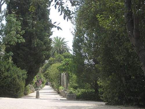 トルステノ植物園