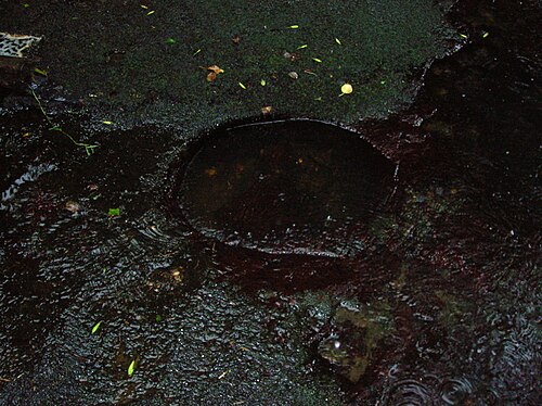 小さな「コルク移動」された岩が入った大きな岩盤盆地