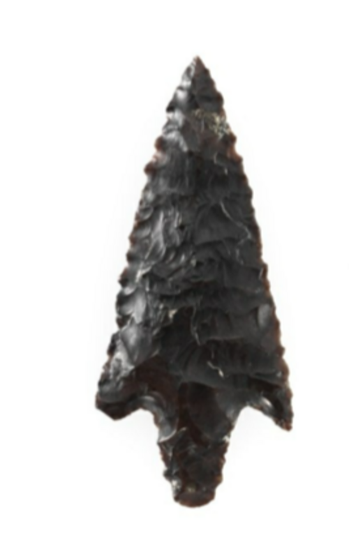 エスタヴァイエFRで発見された新石器時代の矢じり。