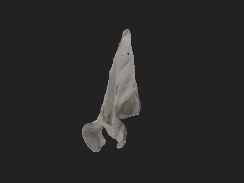 3D画像
