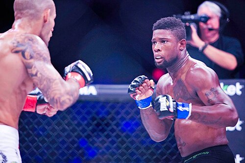 4~6オンスの小型グローブを着用したMMAファイター