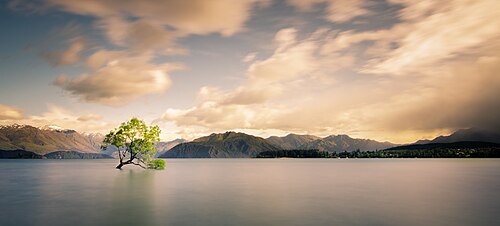 山々に囲まれた湖の中の木