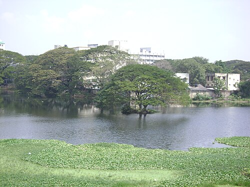 チェットペット湖の眺め
