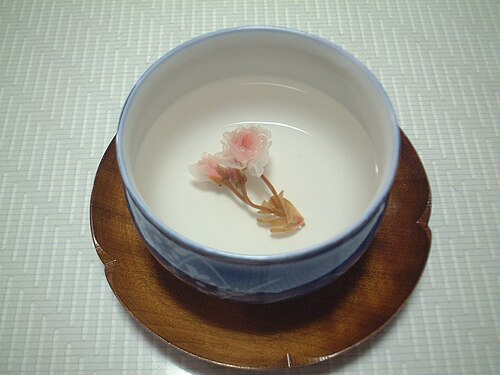 桜湯一杯