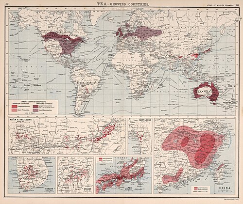 1907 年の茶輸出国と輸入国の世界地図