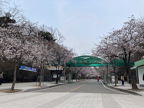 仁川大公園