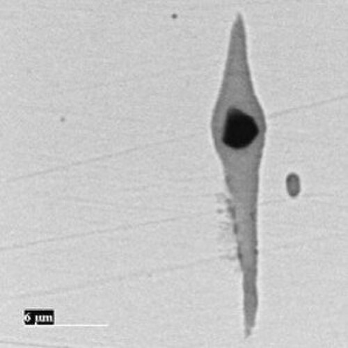 鋼材中の介在物の顕微鏡画像