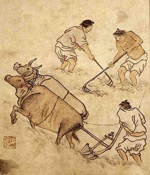 田んぼを耕すノンガリ（논갈이）