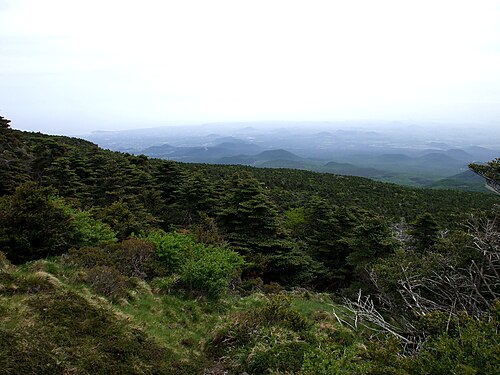 山の側火山（2008年6月）