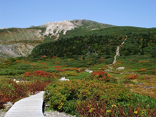 弥陀ヶ原からの白山