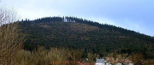 ドイツのイルメナウの上にあるリンデンベルク山の森林は大きな被害を受けた
