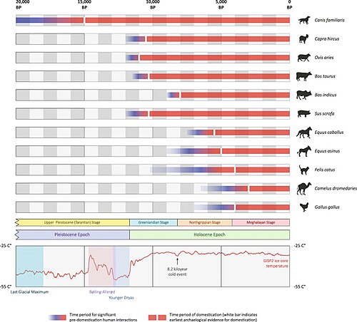 11種の動物の家畜化のおおまかなタイムライン