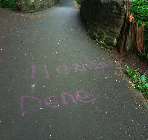 道に「ヘクサム・ディーン」と書かれたマゼンタ色の落書き