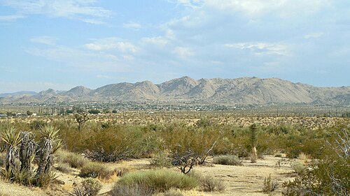 ジョシュアツリー国立公園の山々を背景に、ジョシュアツリー・タウンセンターを南向きに眺めた景色。