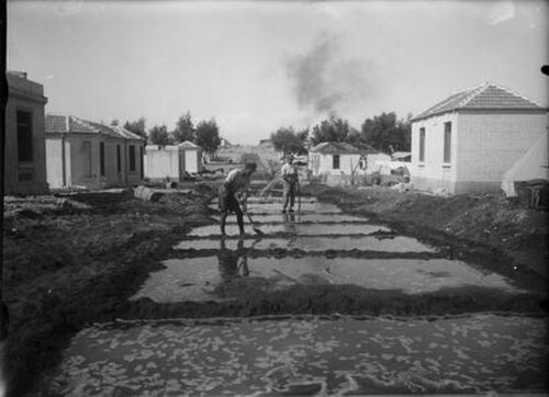 ノルディア 1924
