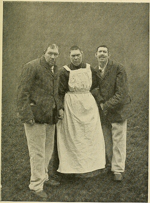 3人の親族、1913年