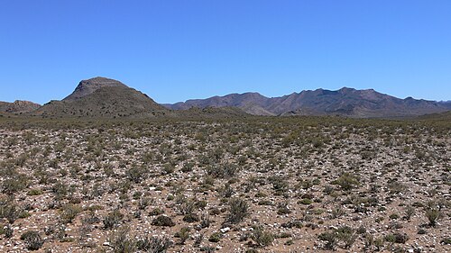 マジェスフォンテインの南にある典型的なカルーの植生。背景にはアニスバーグ山脈が見える。