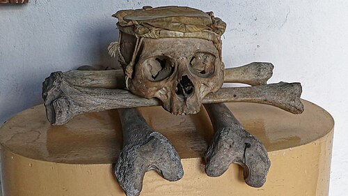 博物館の展示室で、他の複数の人骨の上に置かれた人間の頭蓋骨。