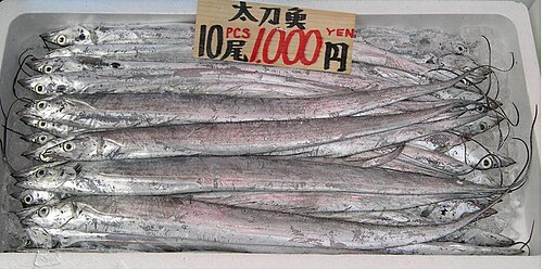 東京の魚市場のタチウオ