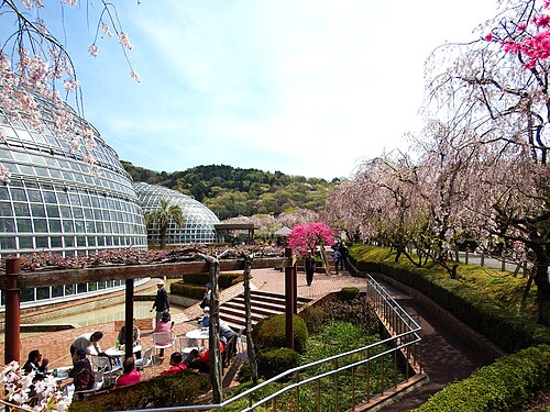 東国山フルーツパーク