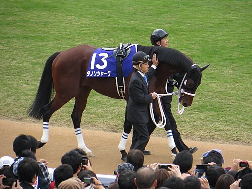 ダノンシャーク（2008）