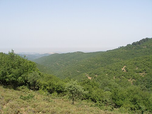 上ガリラヤの山岳地帯