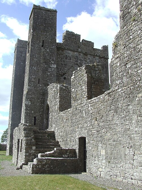 Side of Bective Abbey