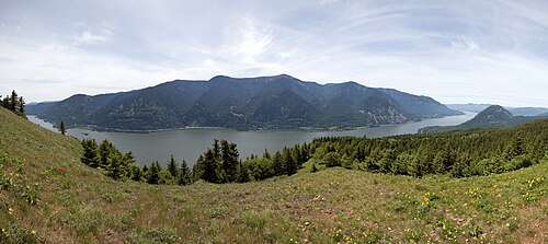 手前に森が広がる川の峡谷