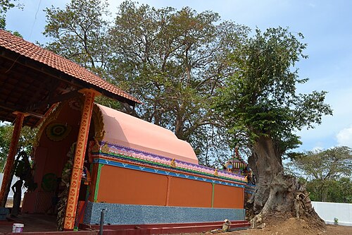 再建されたヴァルタライビラン マルタディ ヴィナヤガル寺院、2016 年 4 月
