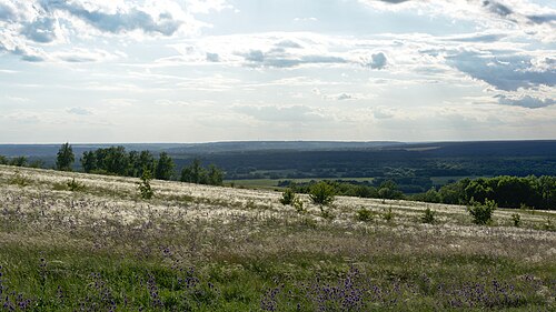 ディヴノゴリエの典型的な草原の風景