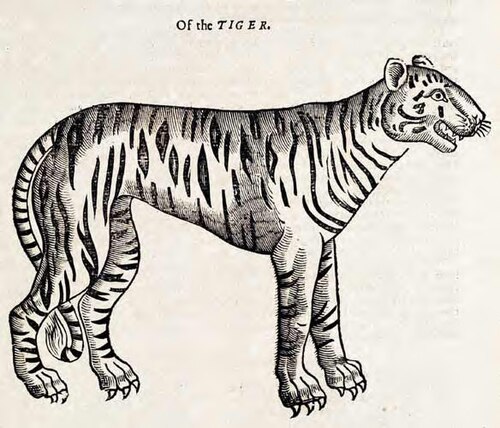 虎の木版画