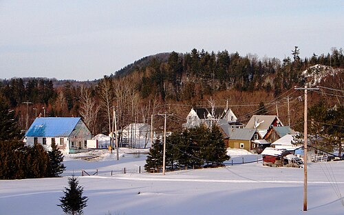 ポリティモア