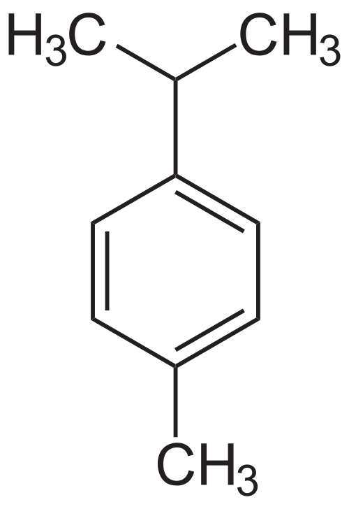 骨格式