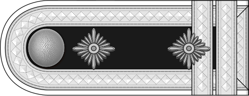 ... SS-Standartenoberjunker