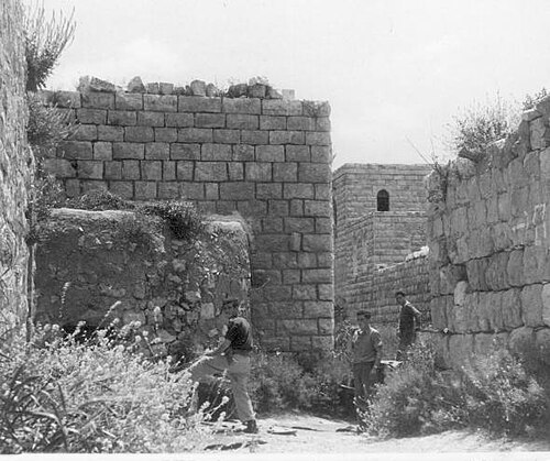 イナバのイフタハ旅団、ダニ作戦。 1948年