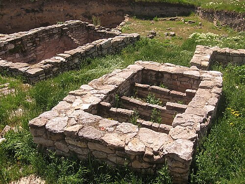 魚を保存するための古代の水盤