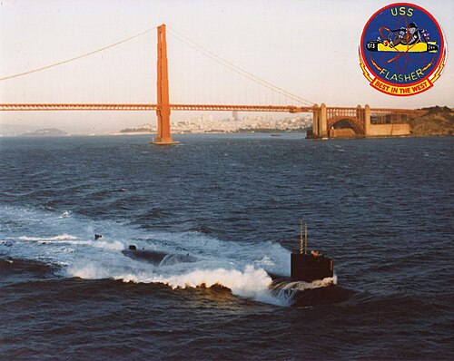 USS フラッシャー (SSN-613)