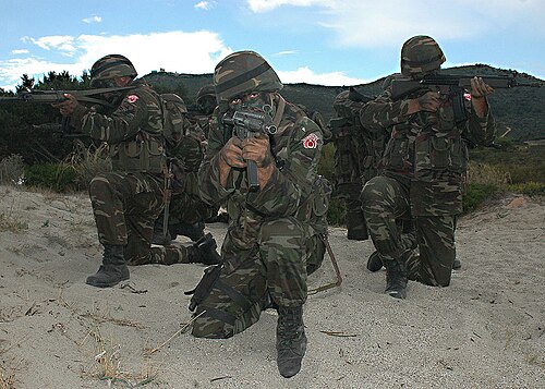トルコ海軍の隊員が、2005年の軍事演習「デスティンド・グローリー（ロイヤル・ミダス）」中にイタリアのサルデーニャ島に駐留している。