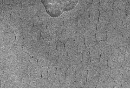 多角形の形状をした模様のある地面は、地上の氷と関連しています。この南方 (北緯 45 度) で見つかるのは珍しいことです。写真は Mars Global Surveyor によって撮影されました。